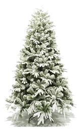 Χιονισμένο Δέντρο Όλυμπος