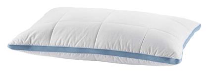 Kentia Mesh Σιλικόνης Ανατομικό Μέτριο 000048051 50x70cm