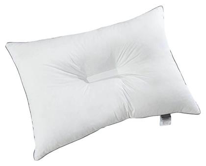 La Luna Orthopedic Polyester Ανατομικό 50x70cm