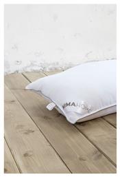 Nima Presidential Ballfiber 50x70cm