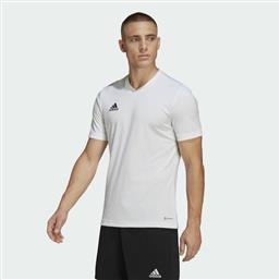 Adidas Entrada 22 Ανδρικό T-shirt Λευκό Μονόχρωμο