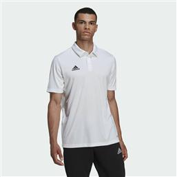 Adidas Entrada 22 Ανδρικό T-shirt Polo Λευκό από το MybrandShoes