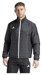 adidas Entrada 22 Μπουφάν Puffer