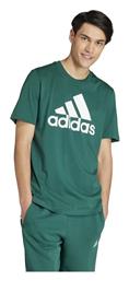 Adidas Single Jersey Big T-shirt Πράσινο