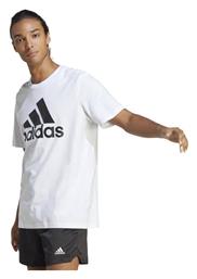 adidas T-shirt από το Spartoo