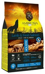 Ambrosia Lamb & Fresh Salmon Adult All Breeds 2kg από το Plus4u