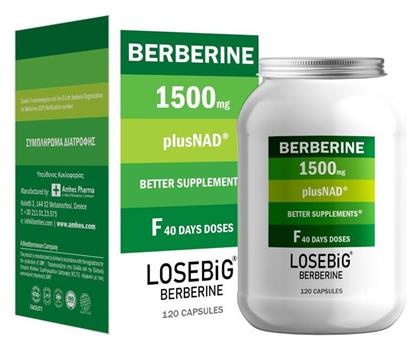 Amhes Losebig Berberine 1500mg 120 κάψουλες