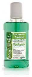 Anemos Mastic & Herbs 250ml