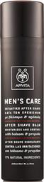 Apivita After Shave Balm Men's Care χωρίς Οινόπνευμα με Αλόη 100ml από το Pharm24