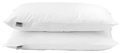 Beauty Home Art 4030 50x70cm