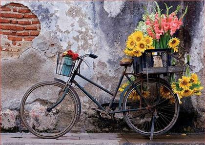 Bicycle With Flowers 2D 500pcs από το Plus4u