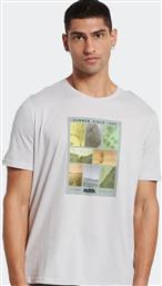 BodyTalk Ανδρικό T-shirt Γκρι με Στάμπα από το SportsFactory