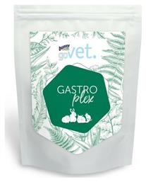 Bunny Nature Διατροφικό Συμπλήρωμα για Κουνέλι Govet Gastroplex 325gr
