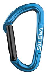 CARABINER SALEWA HOT G3 STRAIGHT από το Lightgear