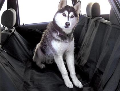 Carpoint Κάλυμμα Σκύλου για Πίσω Καθίσματα Αυτοκινήτου 140x150cm από το Plus4u