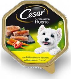 Cesar Υγρή Τροφή Ηλικιωμένου Σκύλου με Κοτόπουλο και Λαχανικά σε Ταψάκι 150γρ.