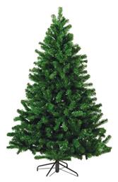 Δέντρο Co Colorado