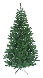 Δέντρο Colorado