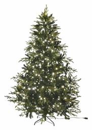 Δέντρο North Star