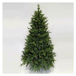 Δέντρο Νορβηγίας 180εκ.