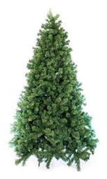 Δέντρο Πάικο