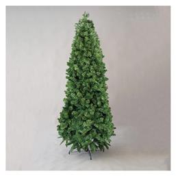 Δέντρο Πάικο Slim