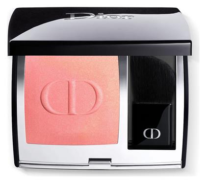 Dior Cheek And Cheekbone 219 INT22