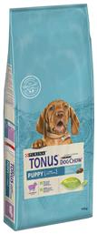 Dog Chow
