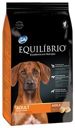 Equilibrio Adult Large Agile 2kg Ξηρά Τροφή για Ενήλικους Σκύλους Μεγαλόσωμων Φυλών με Κοτόπουλο από το Plus4u