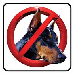 Ergo Πινακίδα ''Απαγορεύεται Η Είσοδος Στα Κατοικίδια'' PVC