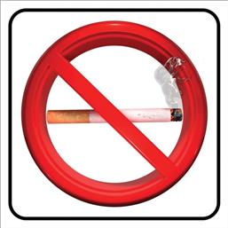 Ergo Πινακίδα ''Απαγορεύεται Το Κάπνισμα'' PVC από το Esmarket