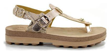 Fantasy Sandals