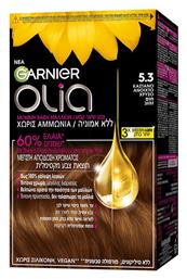 Garnier 5.3 Καστανό Ανοιχτό Χρυσό