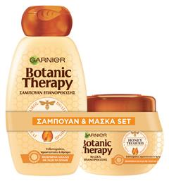 Garnier Botanic Therapy Honey Treasures Σετ Θεραπείας Μαλλιών με Σαμπουάν και Μάσκα 2τμχ