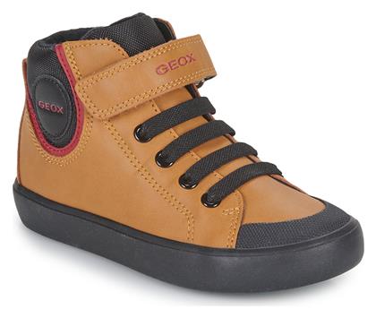 Geox
