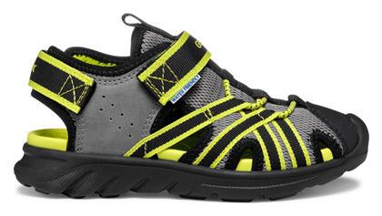 Geox