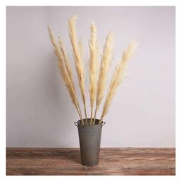 GloboStar Αποξηραμένο Φυτό Pampas grass Μπεζ/Εκρού 150cm από το Designdrops