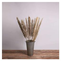 GloboStar Αποξηραμένο Φυτό Pampas grass Καφέ/Γκρι 120cm