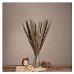 GloboStar Αποξηραμένο Φυτό Pampas grass Καφέ/Γκρι 80cm με LED από το Designdrops