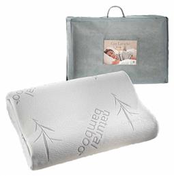 Guy Laroche Visco Elastic Aloe Vera Memory Foam Ανατομικό Σκληρό 1115086110001 40x60cm