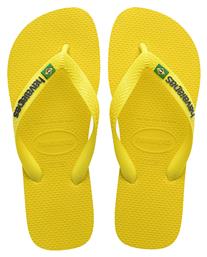 Havaianas Ανδρικές Σαγιονάρες Κίτρινες από το MyShoe