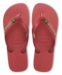 Havaianas Σαγιονάρες σε Μπορντό Χρώμα από το Altershops