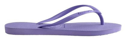 Havaianas Slim Σαγιονάρες σε Μωβ Χρώμα