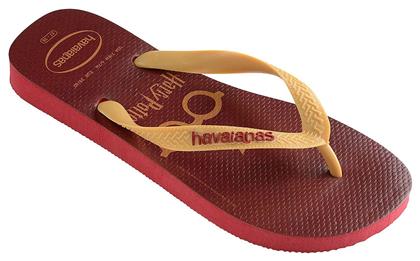 Havaianas Top Harry Potter