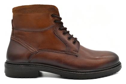 Hawkins Premium