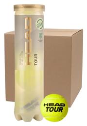 Head Μπαλάκια Τένις 72τμχ