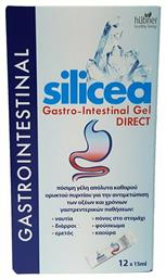 Hubner Silicea Gastro Intestinal Gel 12 x 15ml από το Pharm24