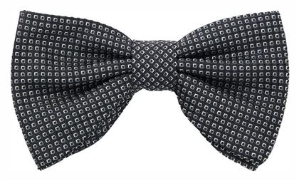 Hugo Boss Παπιγιόν