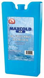 Igloo Ice Block Medium Παγοκύστη 400gr