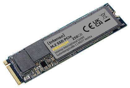 Intenso Premium M.2